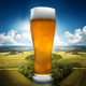 Hoe Tsjechische Pilsner de Wereld Veranderde (en niet alleen het Bier) - BeerBuddy